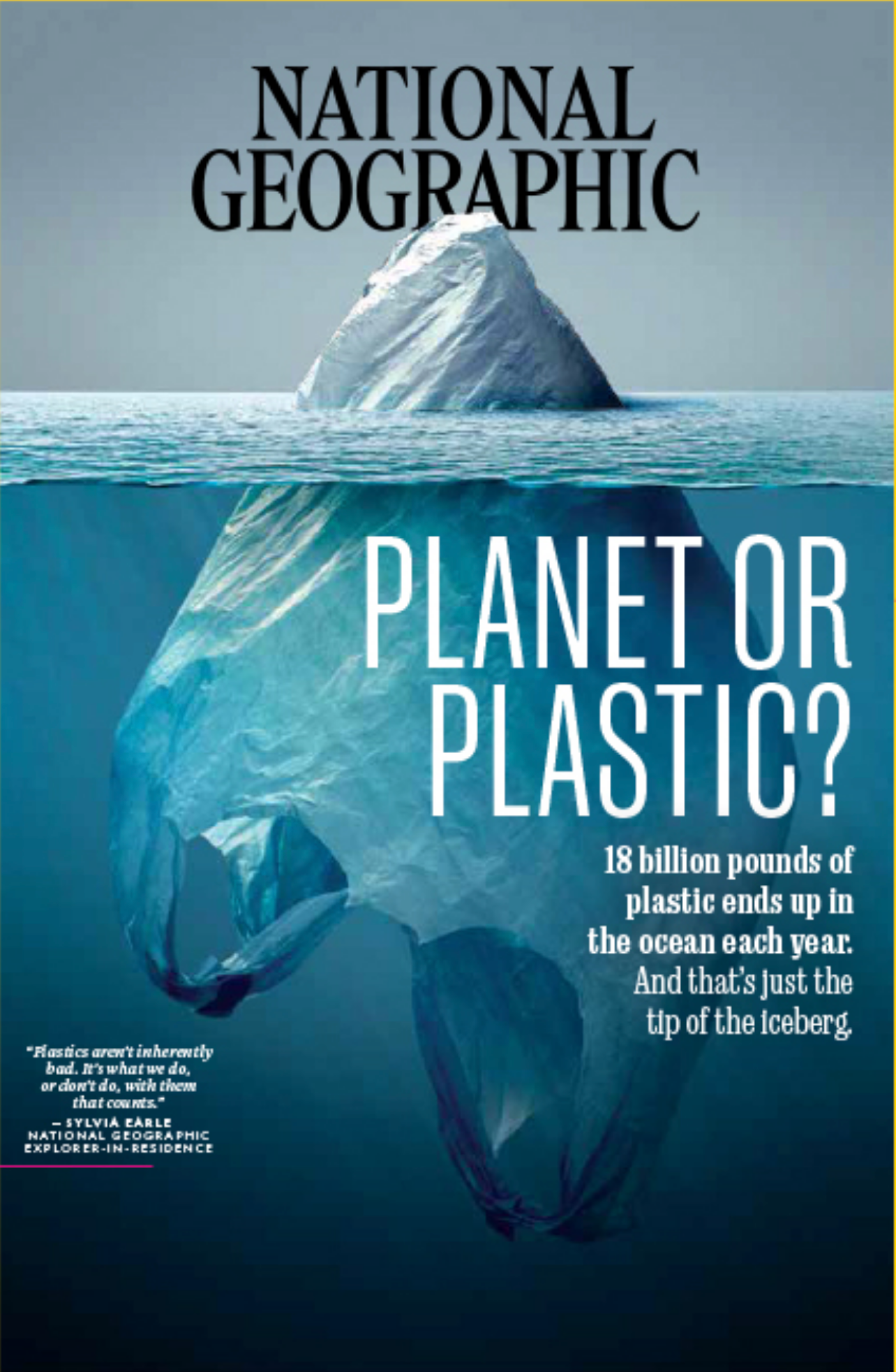 Planet or Plastic?