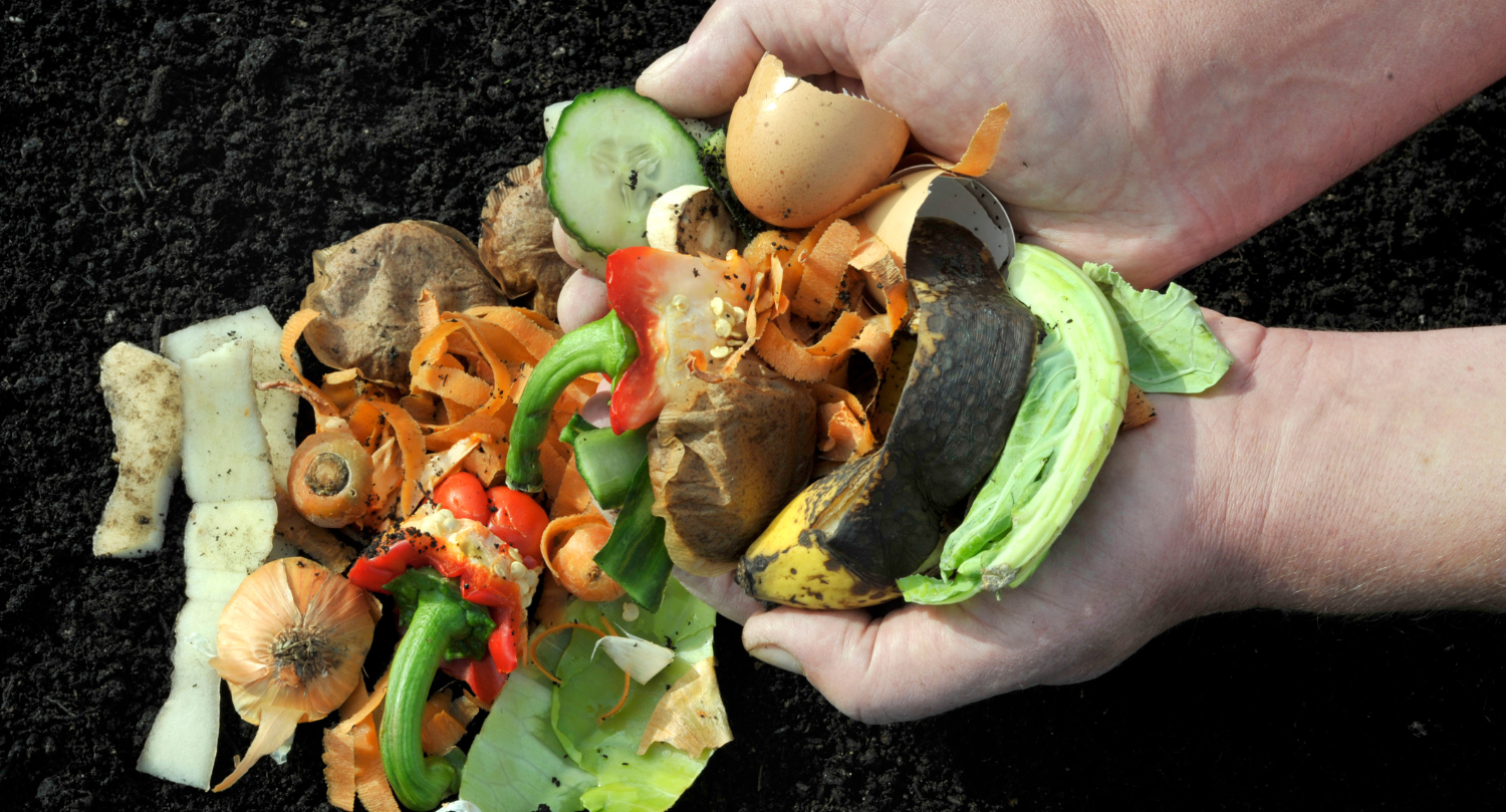 Why Isn't Composting Done More Often