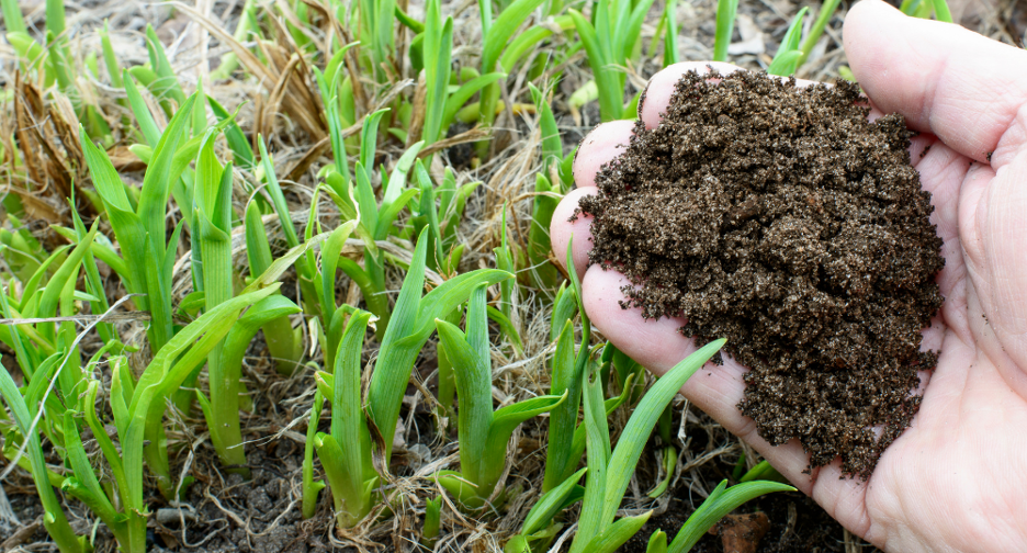 What is Compost Used For?