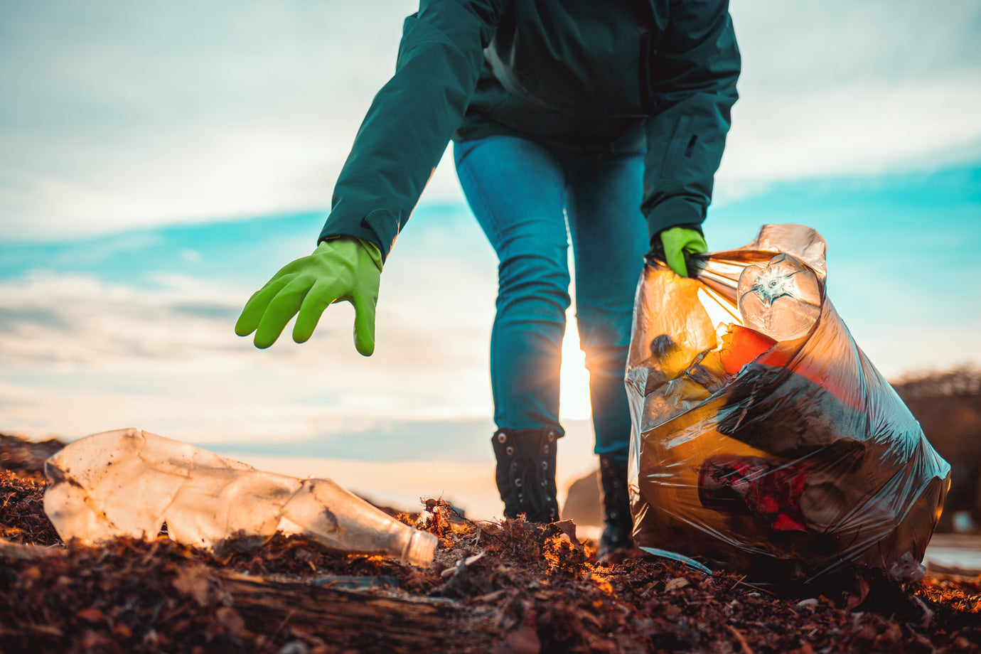 Celebrating World Environment Day: beyondGREEN’s Commitment to a Sustainable Future