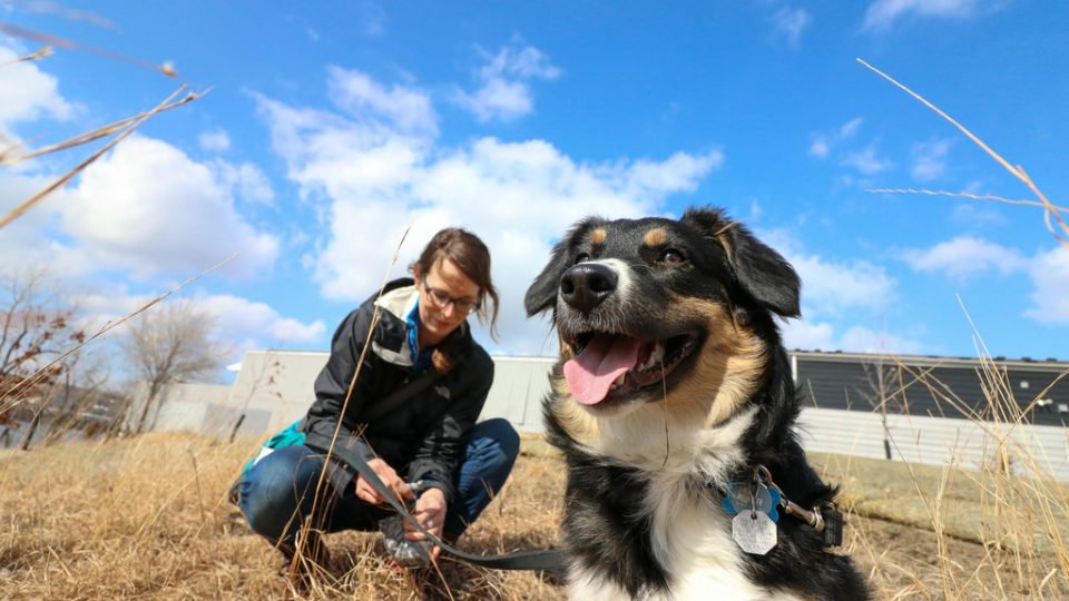 If You Use Biodegradable Poop Bags, You Need to Read This...