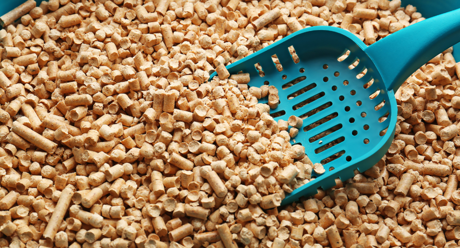 Cat Litter: What It's Made Of & How to Properly Dispose of It
