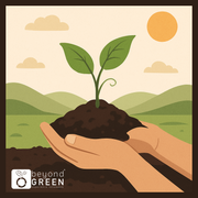 World Soil Day: Supporting Soil Health Through Responsible Material and Waste Management