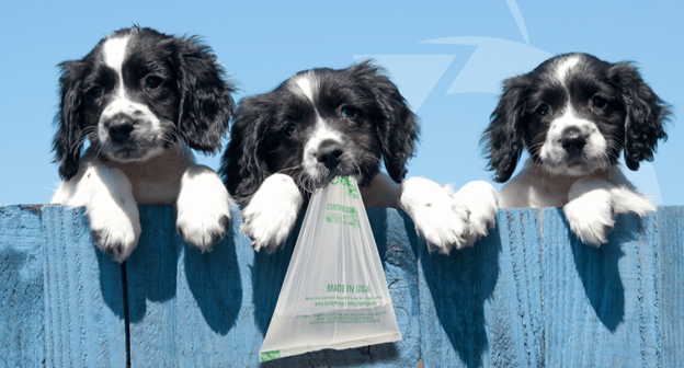 Are Dog Poop Bags Biodegradable? - beyondGREEN biotech™