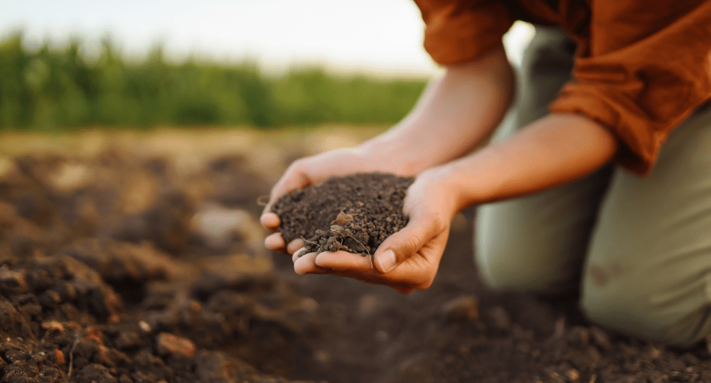 Are Electric Composters Good For The Environment? - beyondGREEN biotech™