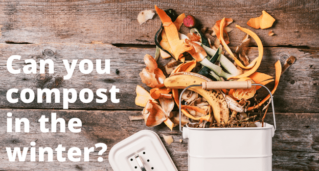 Can You Compost in the Winter? Tips & Tricks to Do It Successfully - beyondGREEN biotech™