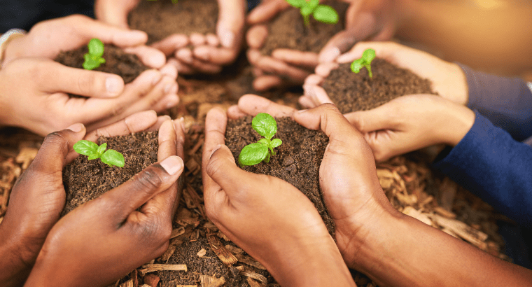 Discover the Top 5 Uses of Compost - beyondGREEN biotech™
