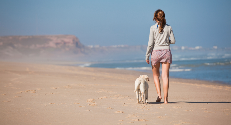 Pawsitively Green: A Guide to Eco-Friendly Dog Walks