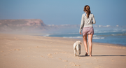Pawsitively Green: A Guide to Eco-Friendly Dog Walks