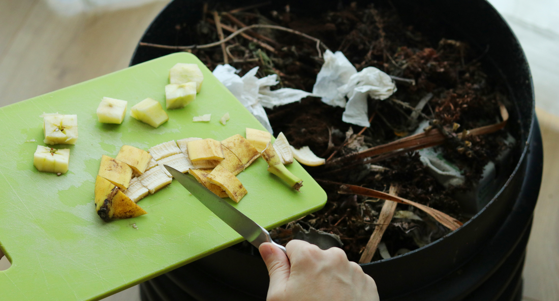 Exploring the Inner Workings of Electric Composters