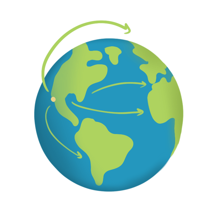 Expectations for 2019 & 2020 From bioDOGradable bags - beyondGREEN biotech™