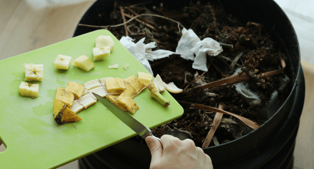 Exploring the Inner Workings of Electric Composters - beyondGREEN biotech™