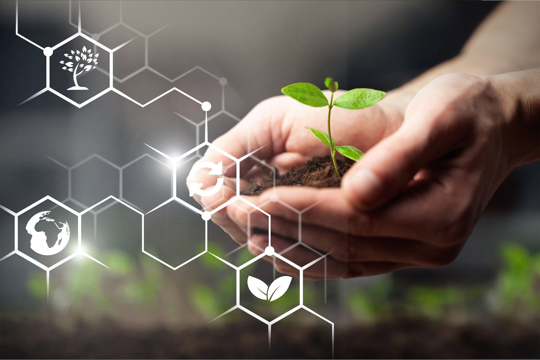 Exploring the Purpose of beyondGREEN Biotech: A GREENER and Brighter Future - beyondGREEN biotech™