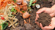 How to Compost Food & Tips