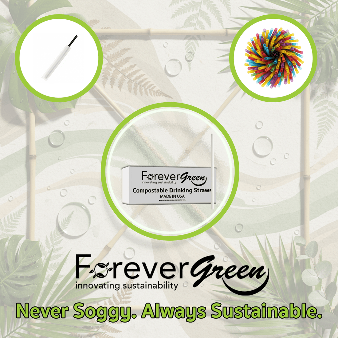 Never Soggy. Always Sustainable. - beyondGREEN biotech™