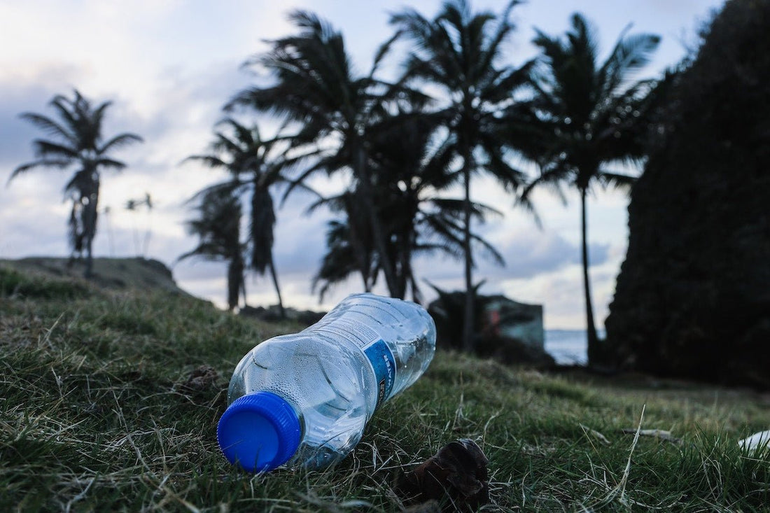 North America efforts to reduce Single-Use Plastic Pollution - beyondGREEN biotech™