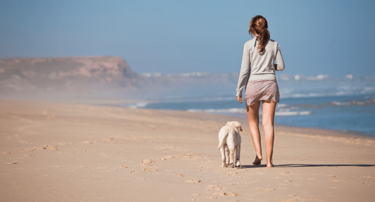 Pawsitively Green: A Guide to Eco-Friendly Dog Walks - beyondGREEN biotech™