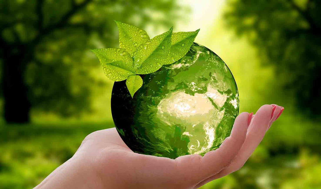 Pet Sustainability: For Pets, People, and the Planet - beyondGREEN biotech™