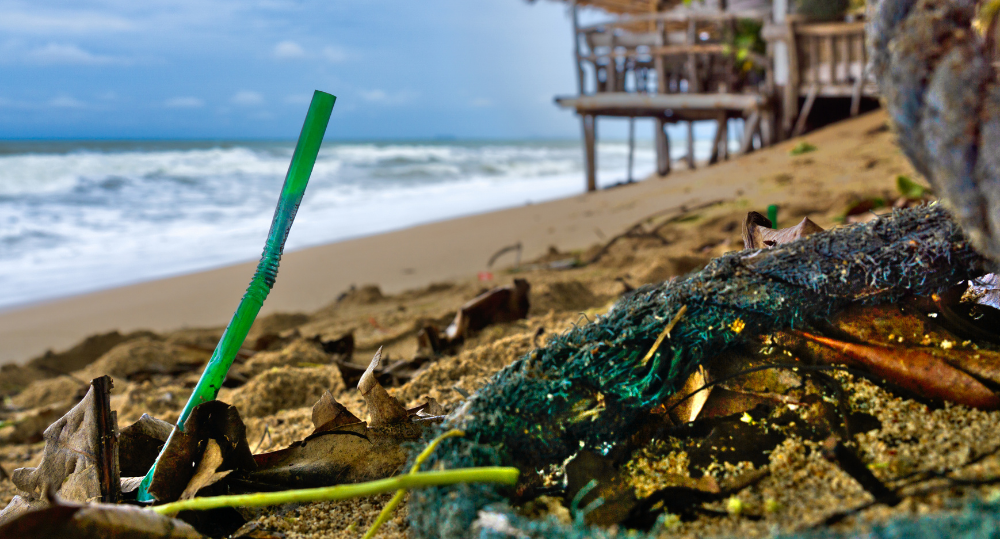 The Impact of Straws on Our Environment