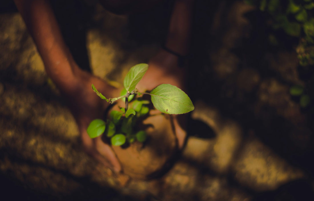 Sustainability: The Future of Our Planet - beyondGREEN biotech™