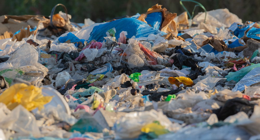 The Impact of Plastic in the Ocean & How You Can Help - beyondGREEN biotech™