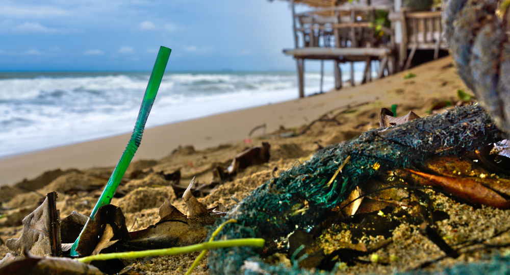 The Impact of Straws on Our Environment - beyondGREEN biotech™
