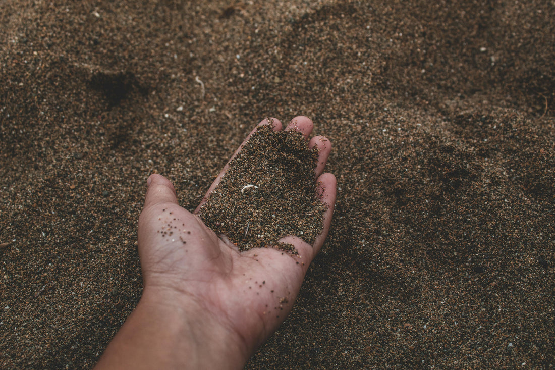 The Wild, Witty World Beneath Your Feet: Why Soil Deserves More Hype - beyondGREEN biotech™