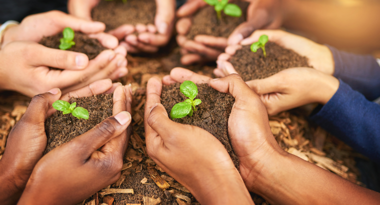 Discover the Top 5 Uses of Compost