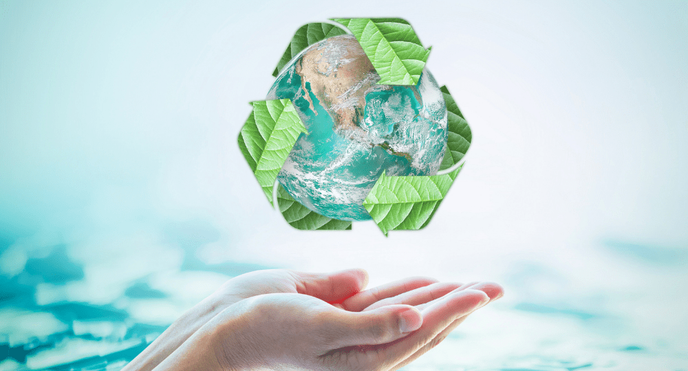 What Does Biodegradable Mean & What to Look For - beyondGREEN biotech™