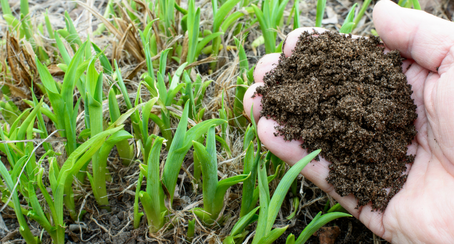 What is Compost Used For? - beyondGREEN biotech™