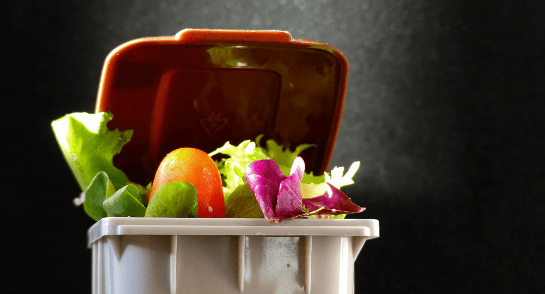 What Is The Best Way To Get Rid Of Food Waste - beyondGREEN biotech™