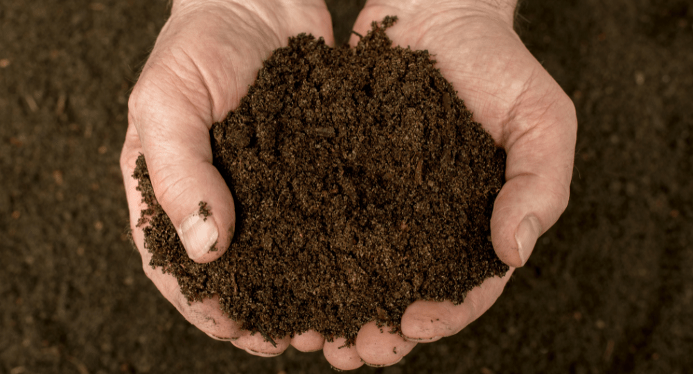 Why Is Composting Important & How It Works - beyondGREEN biotech™
