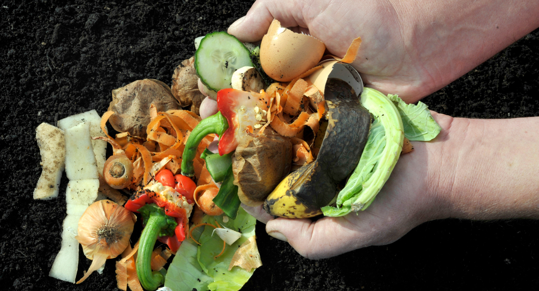 Why Isn't Composting Done More Often - beyondGREEN biotech™