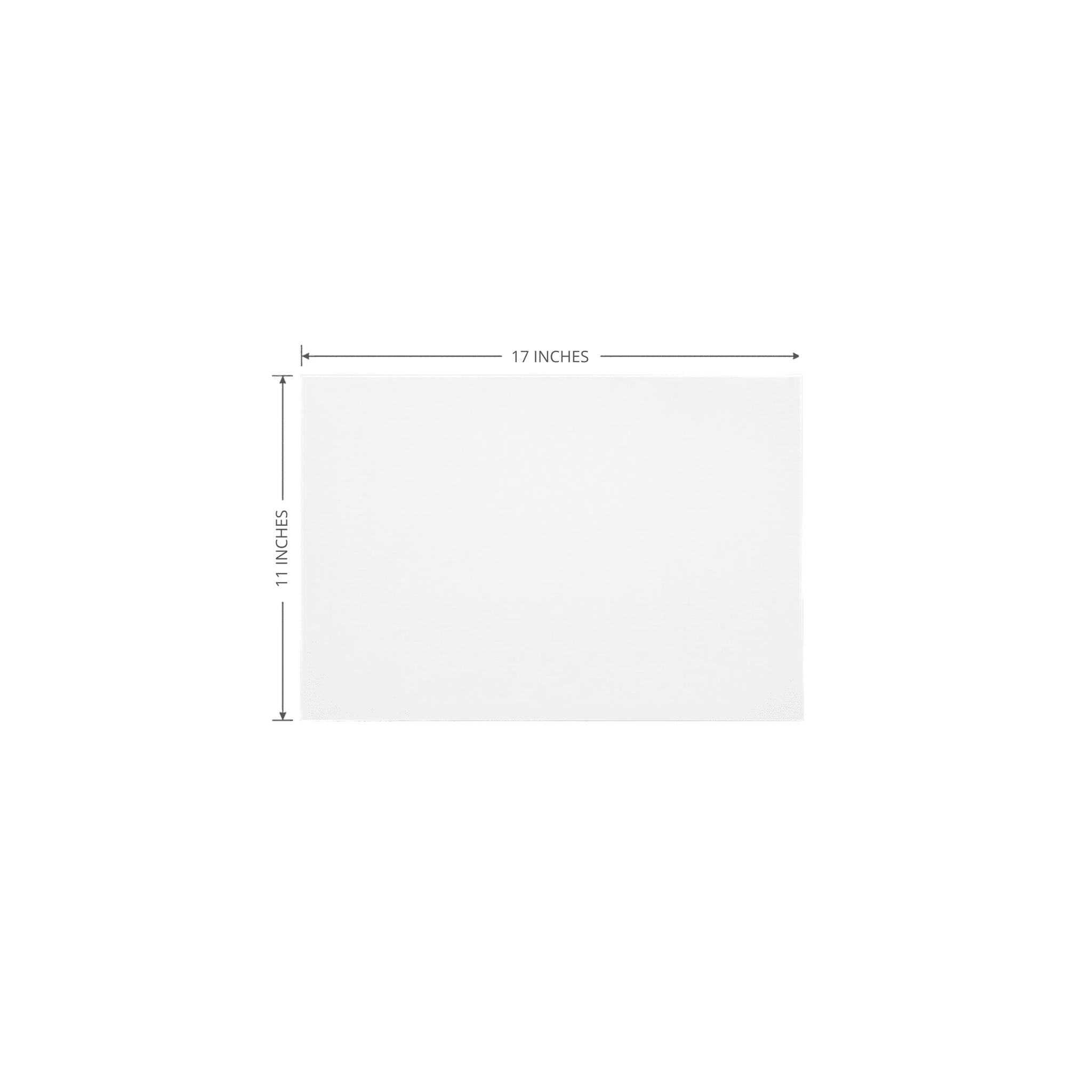 beyondGREEN Multipurpose Copy & Printer Paper 11"x17" - beyondGREEN biotech™