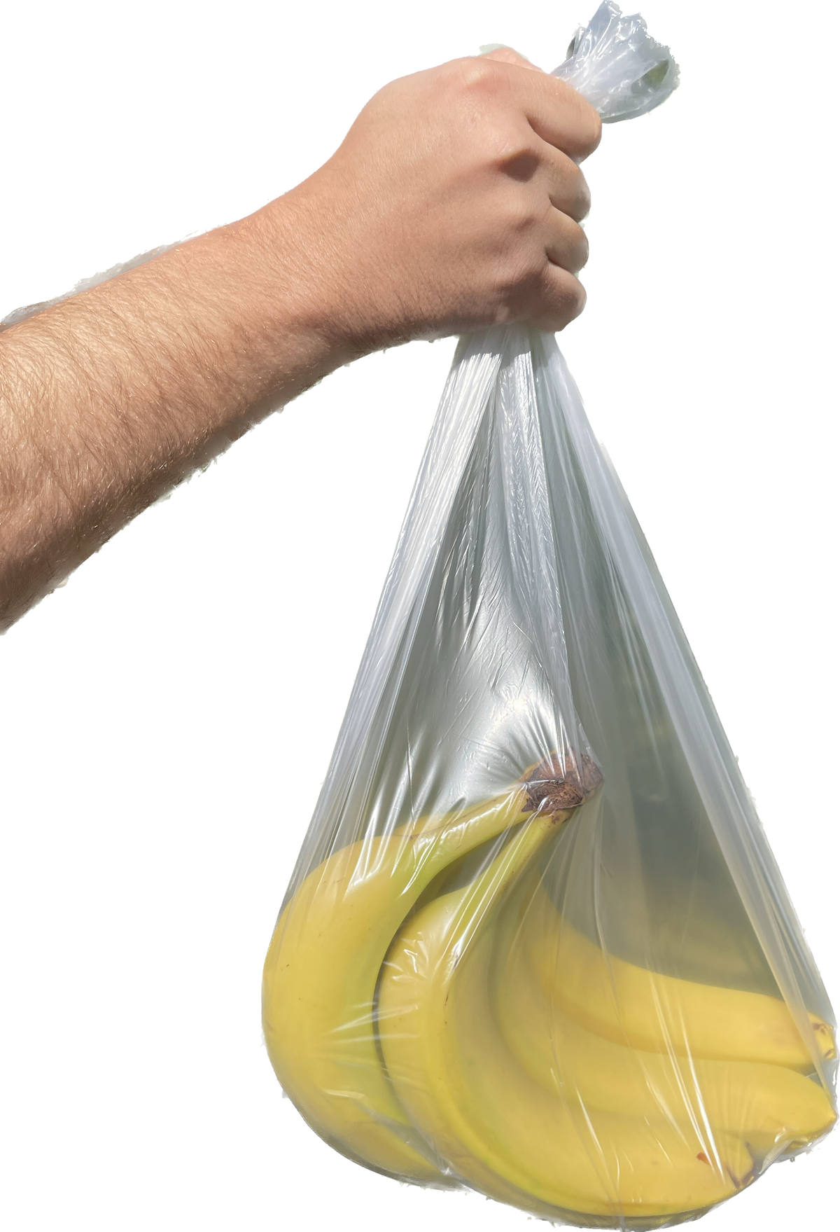 Clear Produce Bags Roll of 100 Bags 14" x 17" beyondGREEN biotech™